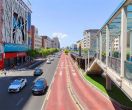 从“交通走廊”变“街景空间”实现四季皆景，公园路分车带完成改造升级
