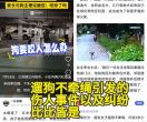 遛狗不牵绳？新修订的治安管理处罚法亮出法治“紧箍咒”！