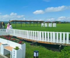 延边大米：千年贡米焕发新活力 全产业链提质增效