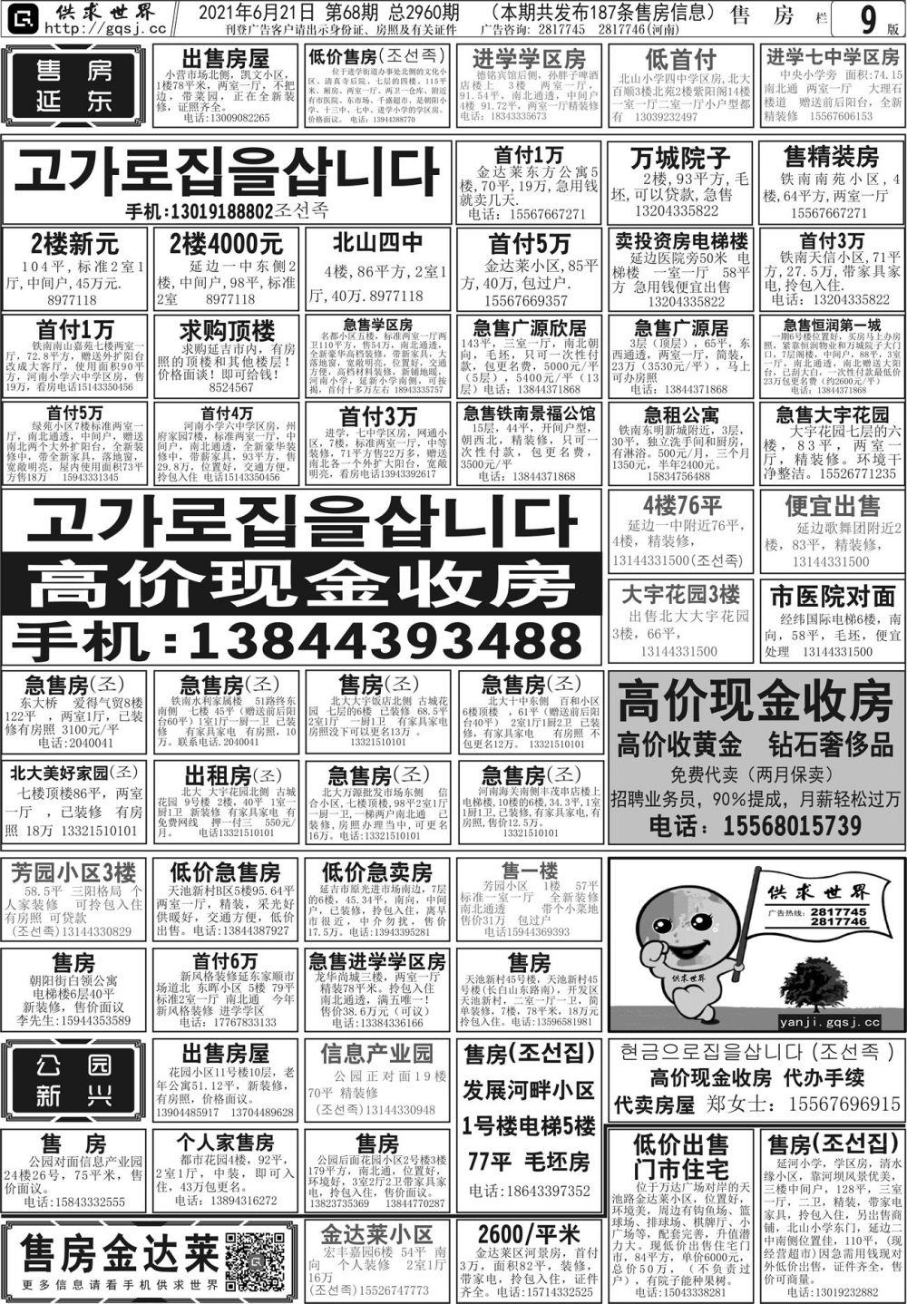 15_compressed.jpg